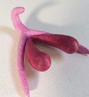 Lær din klitoris bedre at kende